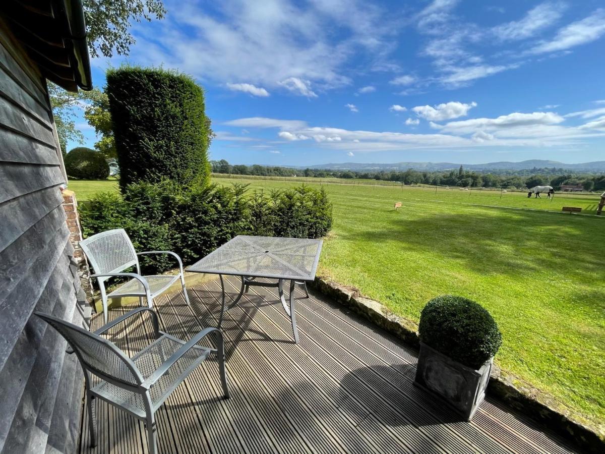 Stunning Cabin With Incredible Views Near Goodwood Rogate Exterior foto