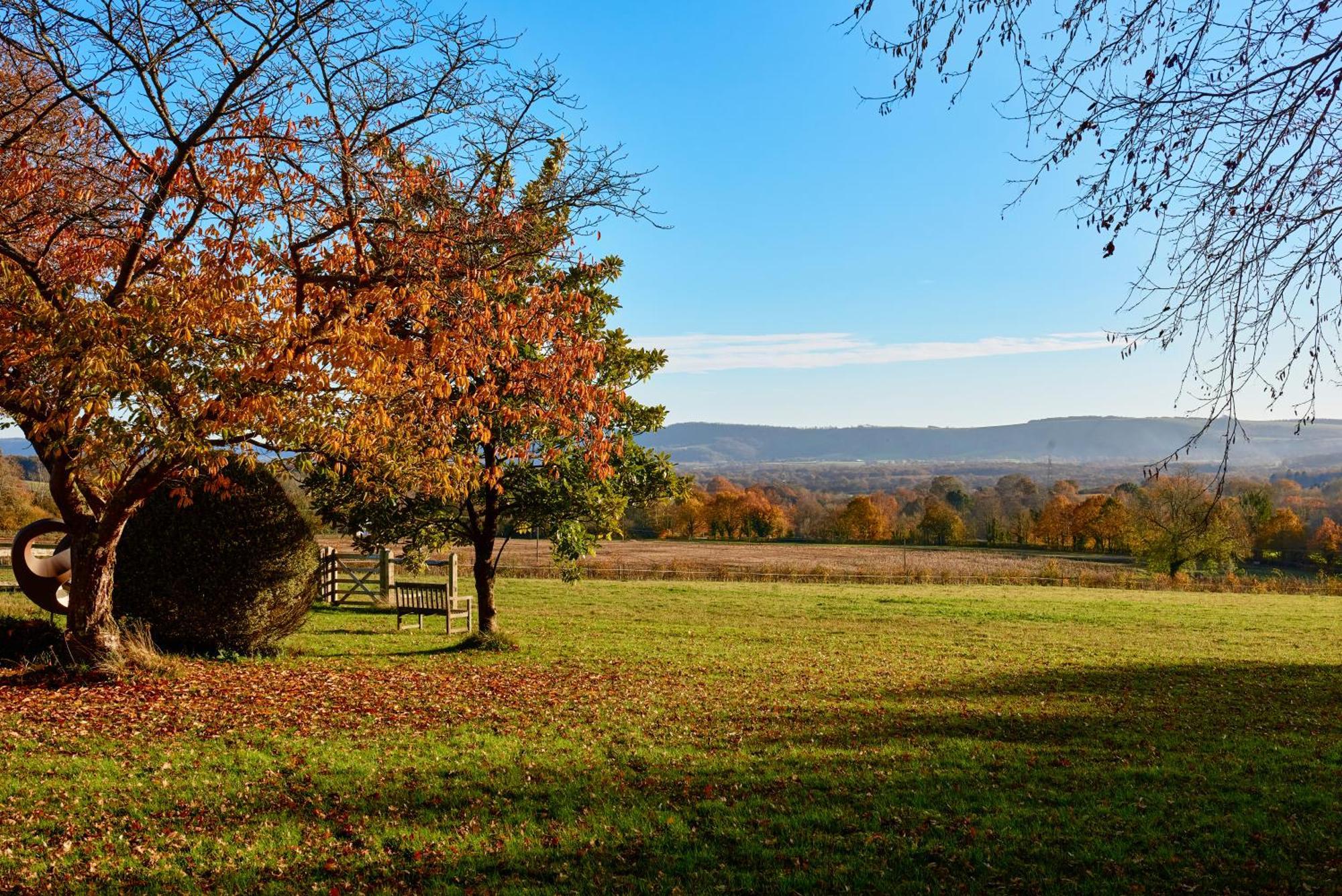 Stunning Cabin With Incredible Views Near Goodwood Rogate Exterior foto